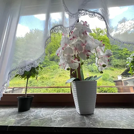 2 Denis 2 Apartment *