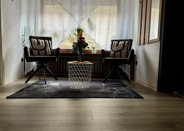 2 Denis 2 オーバーヴェセル